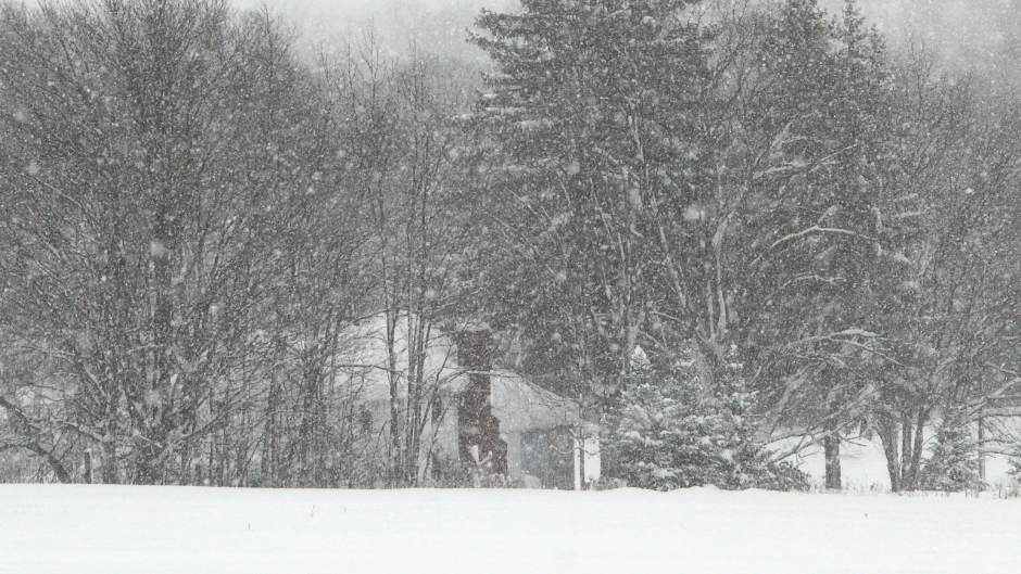 A photo of a house behind trees in the winter. It is snowing.